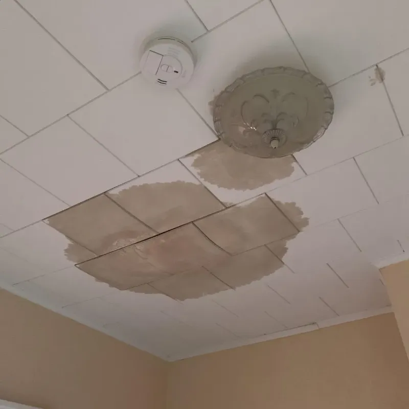 Ceiling Water Damage Repair in Franklin, OH