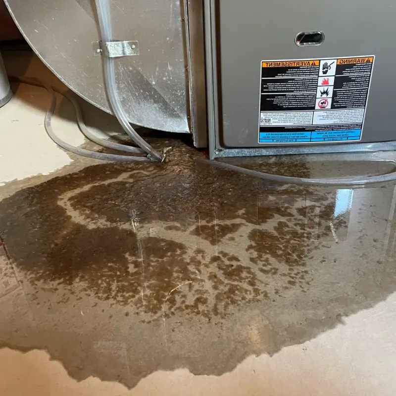 Pipe Burst and Leak Restoration in Franklin, OH